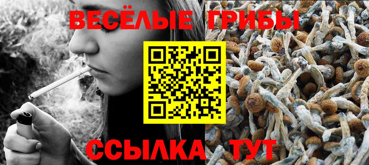 Псилоцибиновые грибы прущие грибы Одинцово