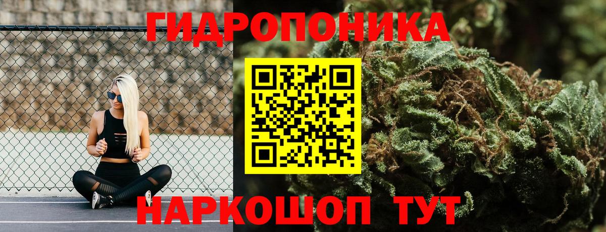 Марихуана конопля  Шишки марихуана марихуана  Одинцово  Бошки марихуана тримм  Вход с VPN 